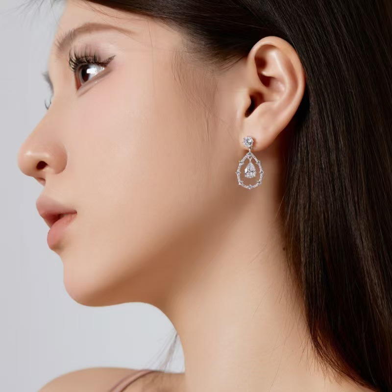 S925 Sterling Silver Light Luxury Zircon Earrings
